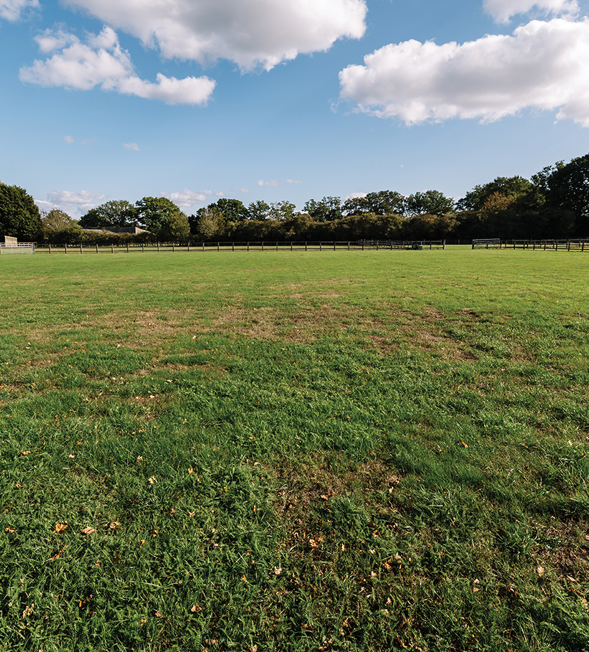 fields